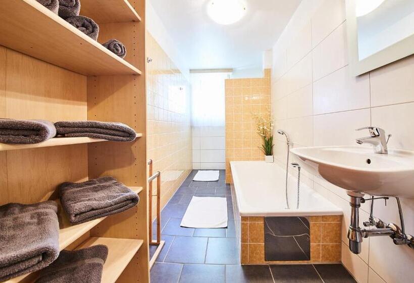 Апартаменты 1 Спальня, Am Zwölferkogel Appartements