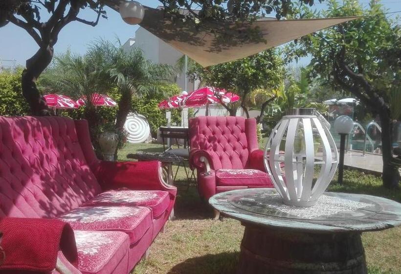 اتاق لوکس, Saija Resort