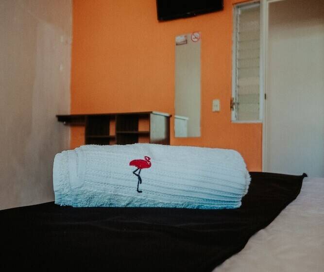اتاق لوکس, Bungalows Los Flamingos