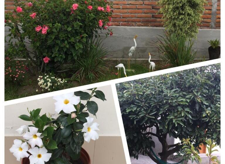 패밀리 룸 가든 전망, Tababela Airport B&b
