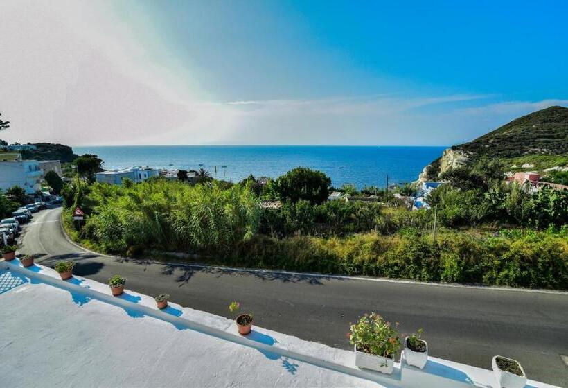 Номер Стандарт, Solemareponza Casa Maria