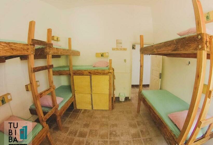 공동 객실, Tubiba Hostel
