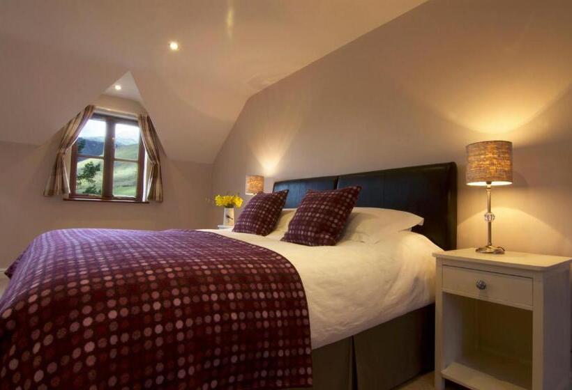 Superior room with lake view, Dolffanog Fawr