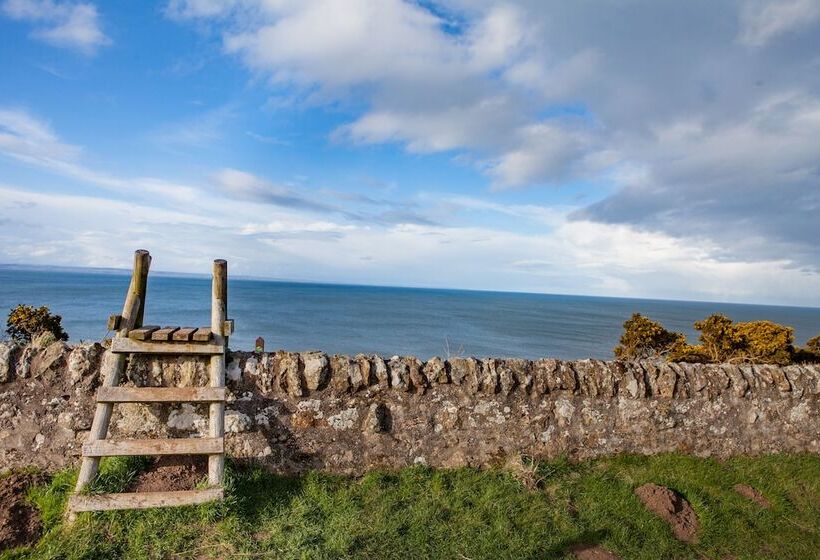 اتاق استاندارد با تخت بزرگ, Fairmont St Andrews  Scotland