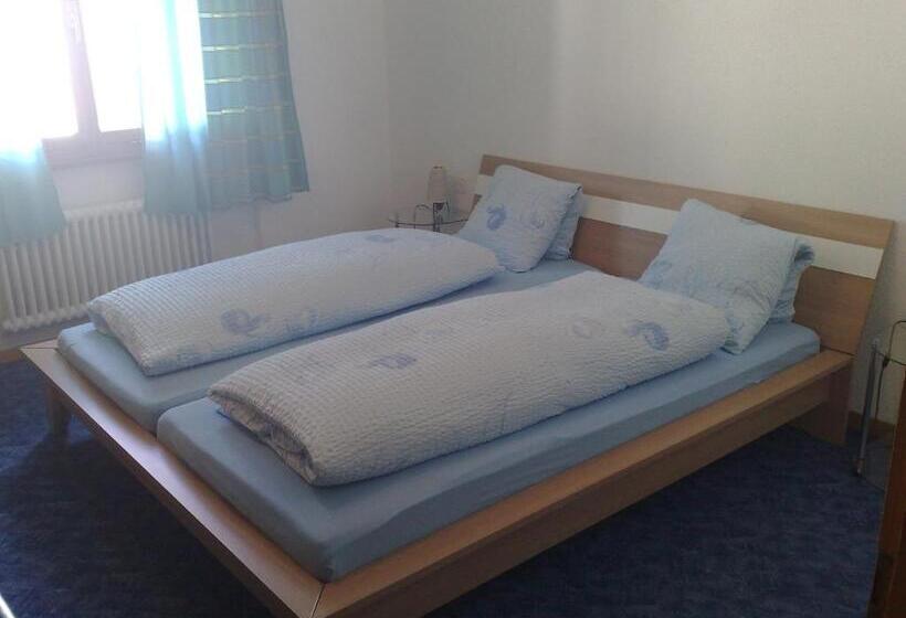 Номер Стандарт Совместная Ванная, B&b Hotel & Appartements Chasa Valär