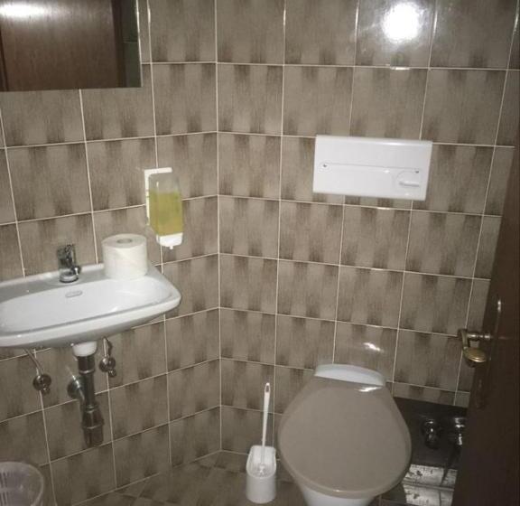 Номер Стандарт, Aineterhof