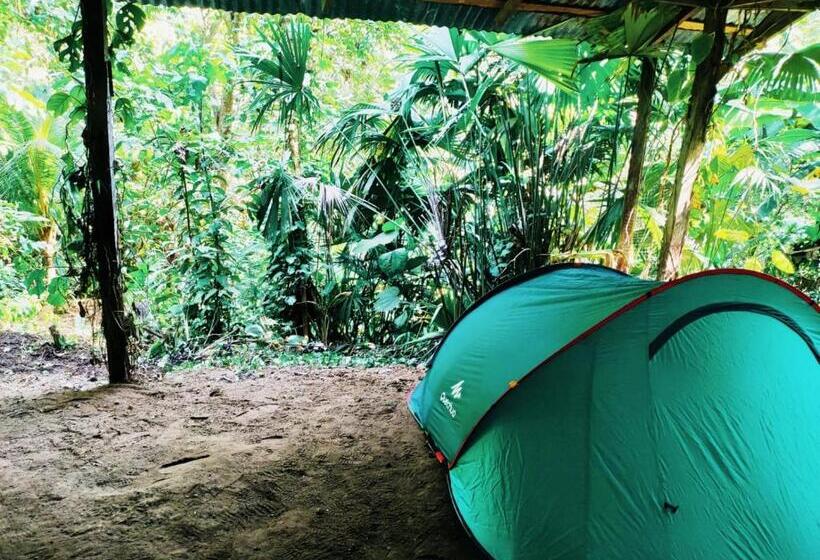 Standard Tent, Treegana