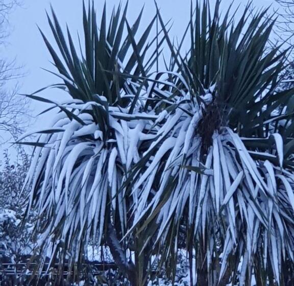 חדר סטנדרט לארבעה, La Bastide Du Moulin   Mont St Michel
