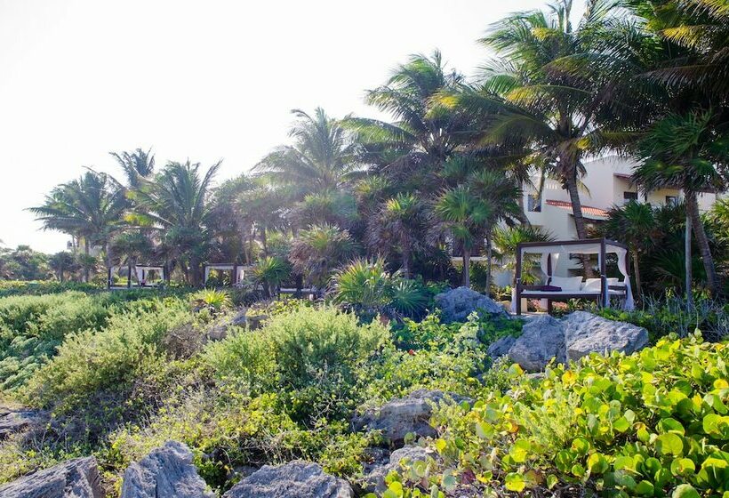 デラックスルーム, Occidental At Xcaret Destination   All Inclusive