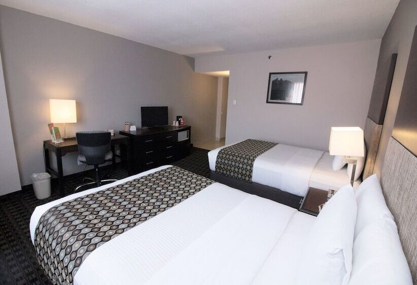 Quarto Estandar para Deficientes Físicos, Chn Hotel Monterrey Norte, Trademark Collection By Wyndham