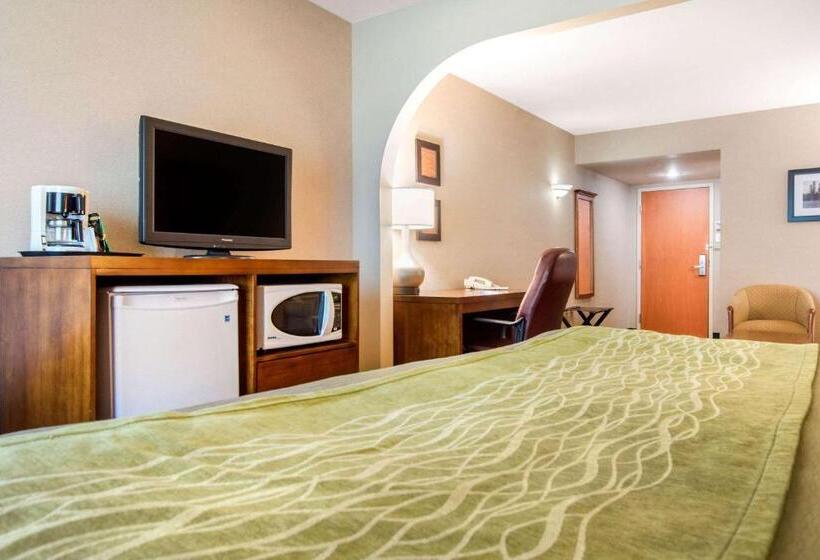 Люкс Кровать Кинг, Comfort Inn & Suites Shawinigan