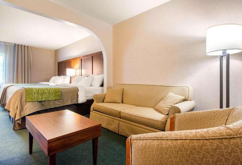 Люкс, Comfort Inn & Suites Shawinigan