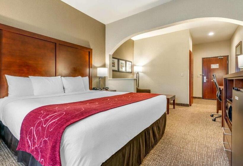 Люкс Кровать Кинг, Comfort Suites Downtown Sacramento
