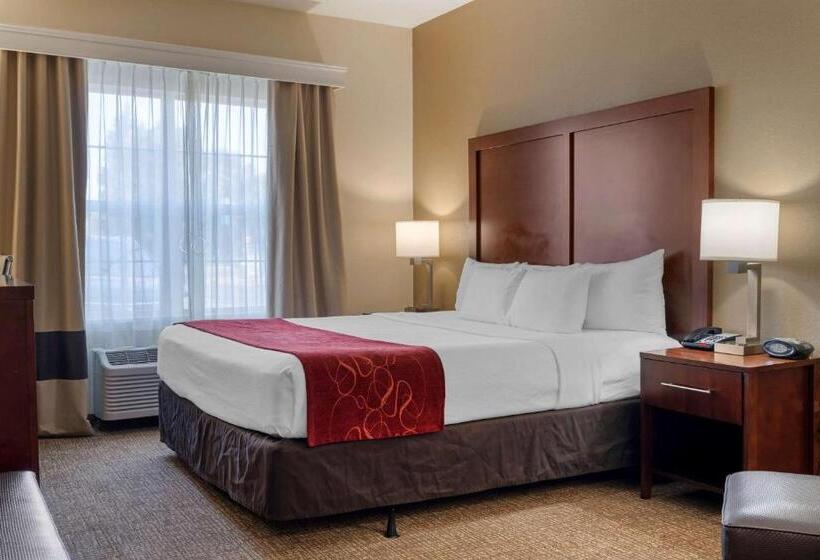 Стандартный Номер Кровать Кинг, Comfort Suites Downtown Sacramento
