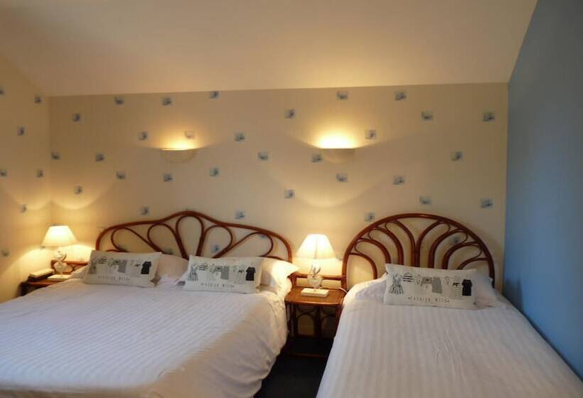اتاق استاندارد سه نفره, Logis Hôtel Ariane