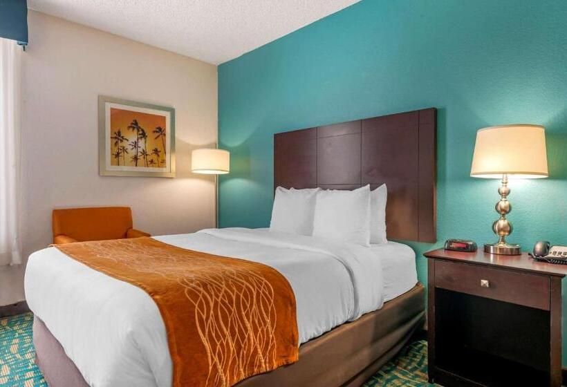 身障者適用スタンダードルーム, Comfort Inn & Suites Fort Lauderdale West Turnpike