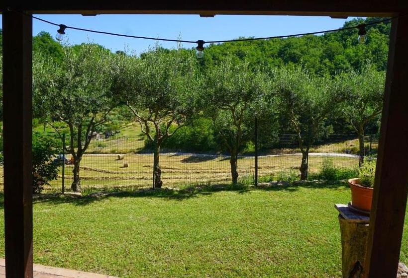 Апартаменты 1 Спальня Нижний Этаж, Agriturismo Pascucci