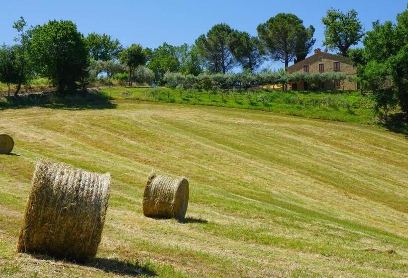 Апартаменты 1 Спальня Нижний Этаж, Agriturismo Pascucci