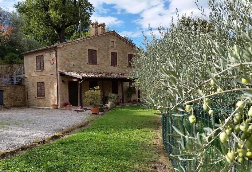 Апартаменты 1 Спальня Нижний Этаж, Agriturismo Pascucci