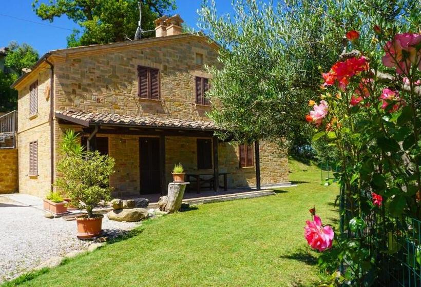 Апартаменты 1 Спальня Нижний Этаж, Agriturismo Pascucci