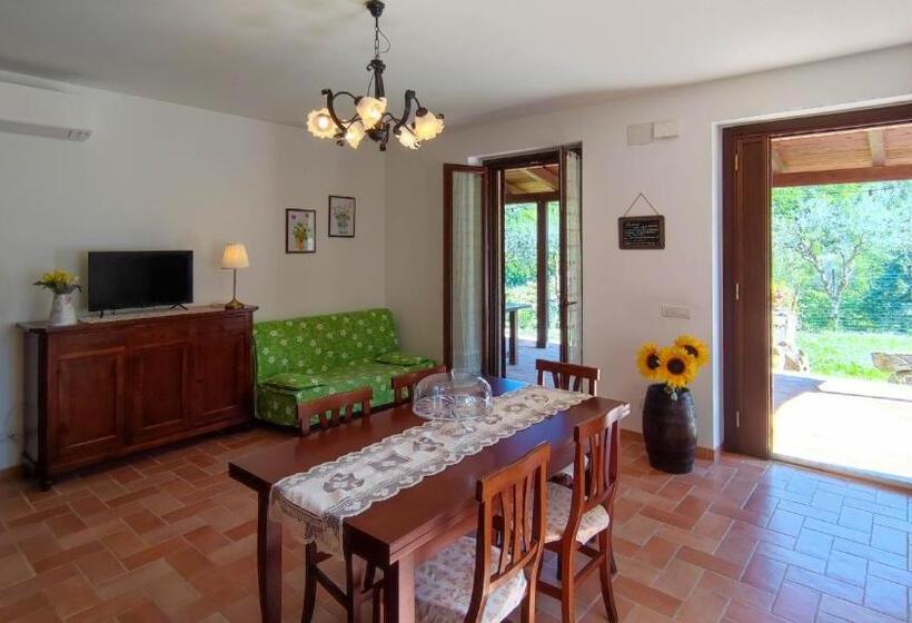 Апартаменты 1 Спальня Нижний Этаж, Agriturismo Pascucci