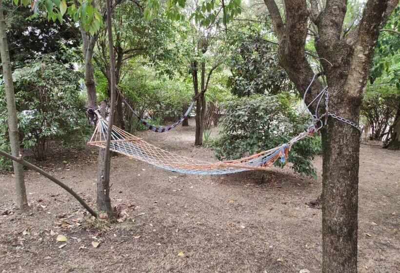 فيلا غرفة نوم واحدة, La Pineta