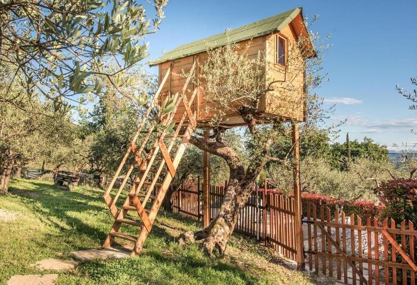 اتاق استاندارد, L Agrifoglio Di Assisi Residenza Di Campagna