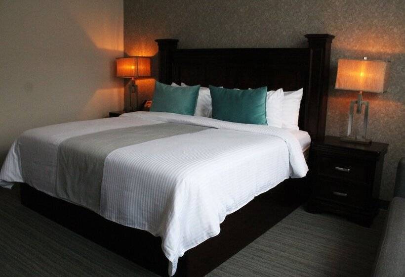 اتاق سوپریور, Gran Hotel Concordia San Luis Potosi
