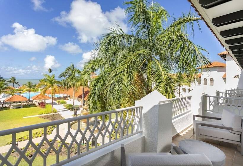 ویلای لوکس 1 خوابه, Hyatt Regency Grand Reserve Puerto Rico