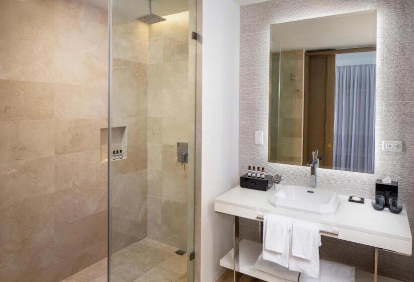 اتاق لوکس با چشم‌انداز باغ, Hyatt Regency Grand Reserve Puerto Rico