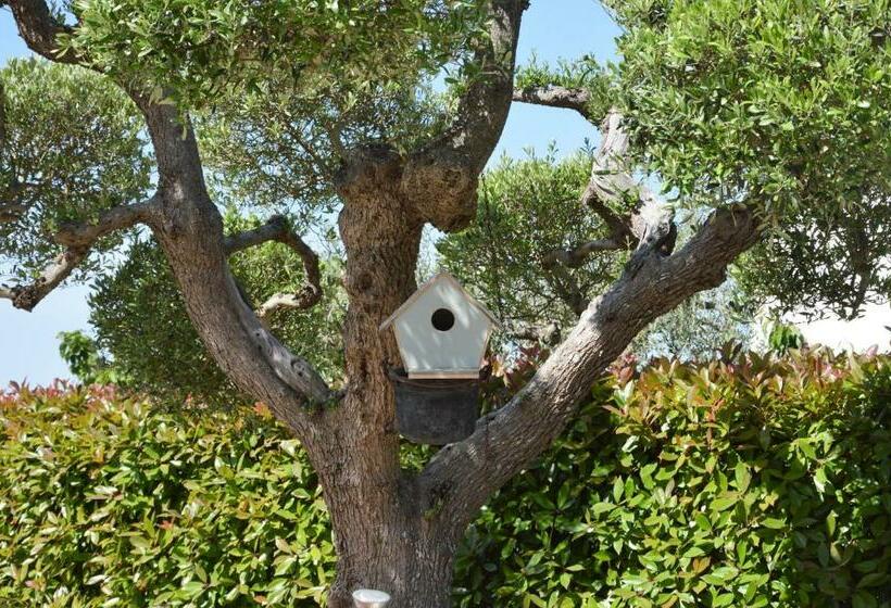 חדר משפחתי, Casa Delle Rondini