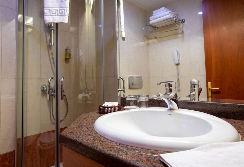 اتاق استاندارد, Duke Romana City Center