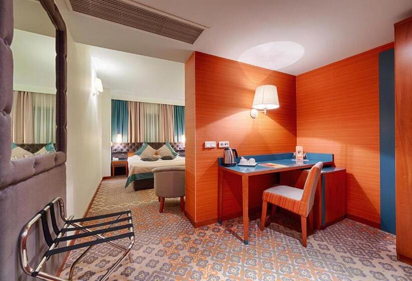 اتاق استاندارد, Duke Romana City Center