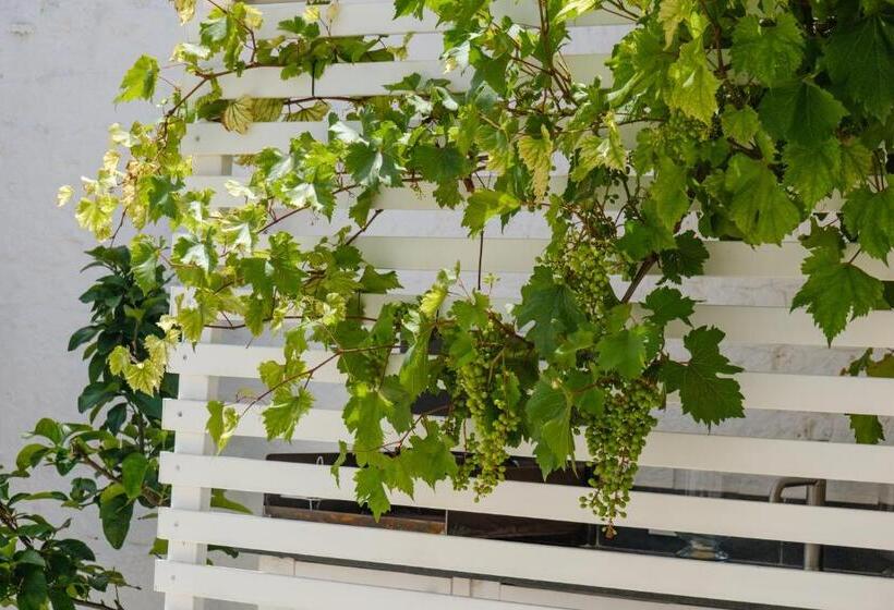 خانه 3 خوابه, Welcome Ostuni B&b