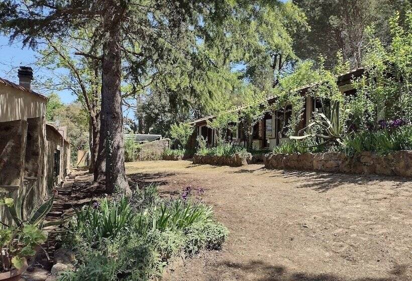 اتاق استاندارد, Agriturismo Bosco Pianetti