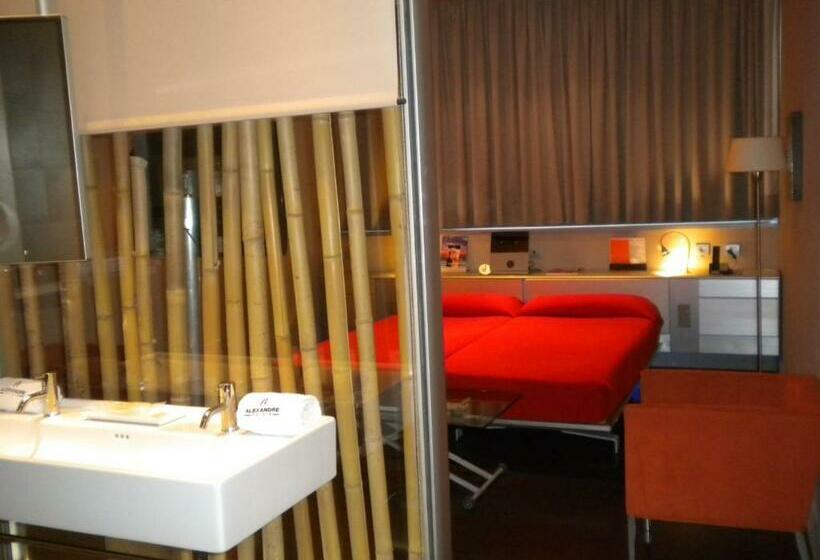 Номер Стандарт, Alexandre Hotel Fira Congress