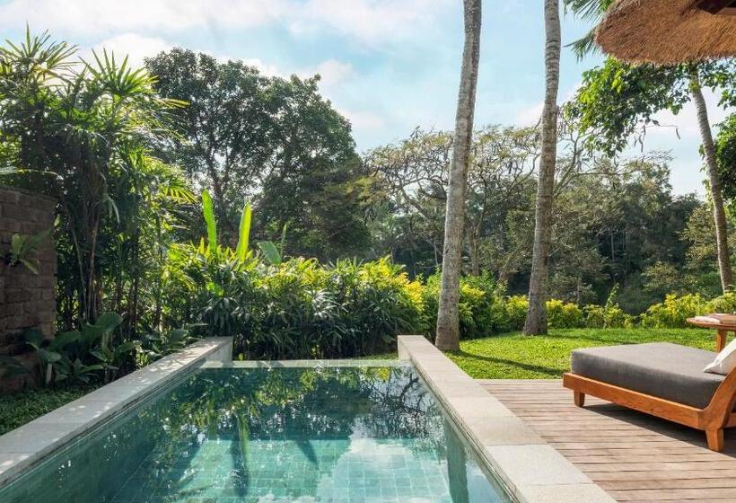带1个卧室的别墅, Maya Ubud Resort & Spa