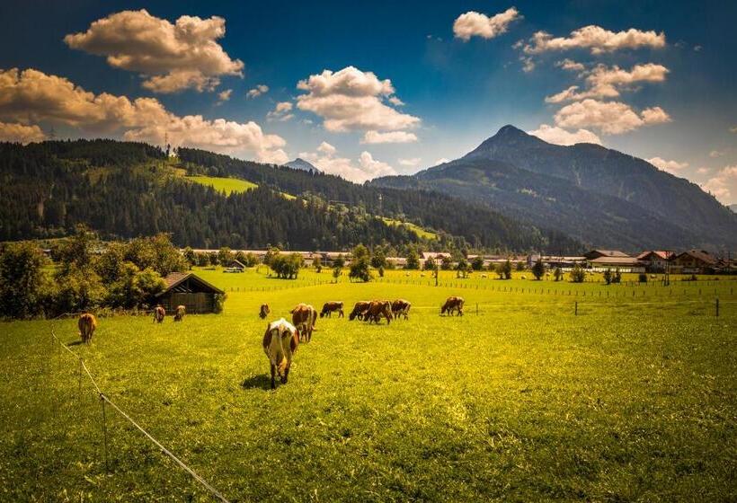 آپارتمان 1 خوابه با چشم‌انداز, Ferienhof Unterlehengut
