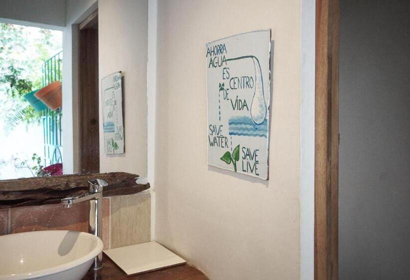 تختخواب در اتاق مشترک, Hostel Pueblito Magico