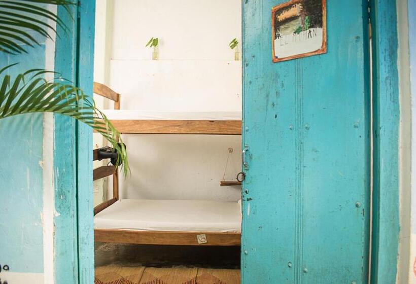 تختخواب در اتاق مشترک, Hostel Pueblito Magico