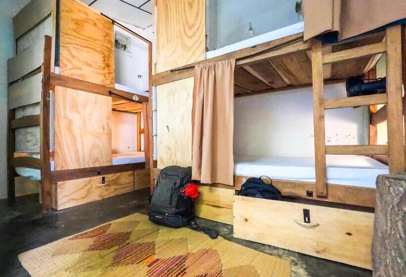 تختخواب در اتاق مشترک, Hostel Pueblito Magico