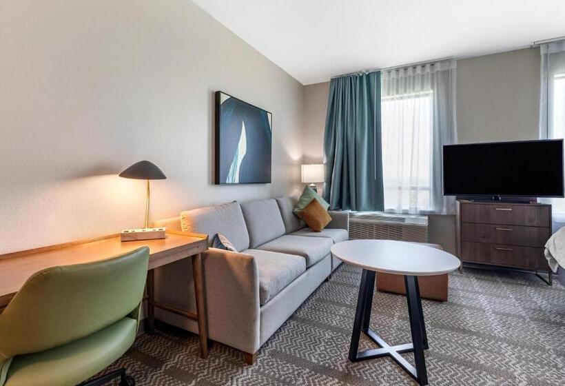Студио Стандарт Кровать Кинг, Staybridge Suites Grand Prairie Near Epic Central, An Ihg