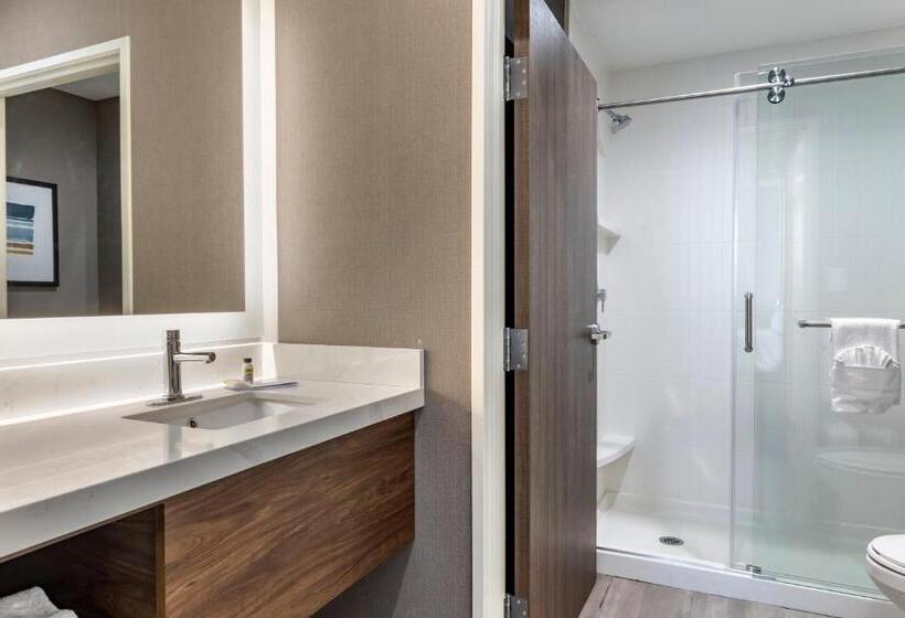 Номер Стандарт Кровать Кинг Адаптированный для Инвалидов, Staybridge Suites Grand Prairie Near Epic Central, An Ihg
