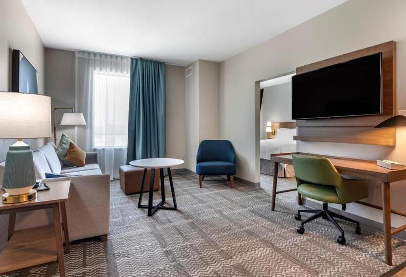 Номер Стандарт Кровать Кинг Адаптированный для Инвалидов, Staybridge Suites Grand Prairie Near Epic Central, An Ihg