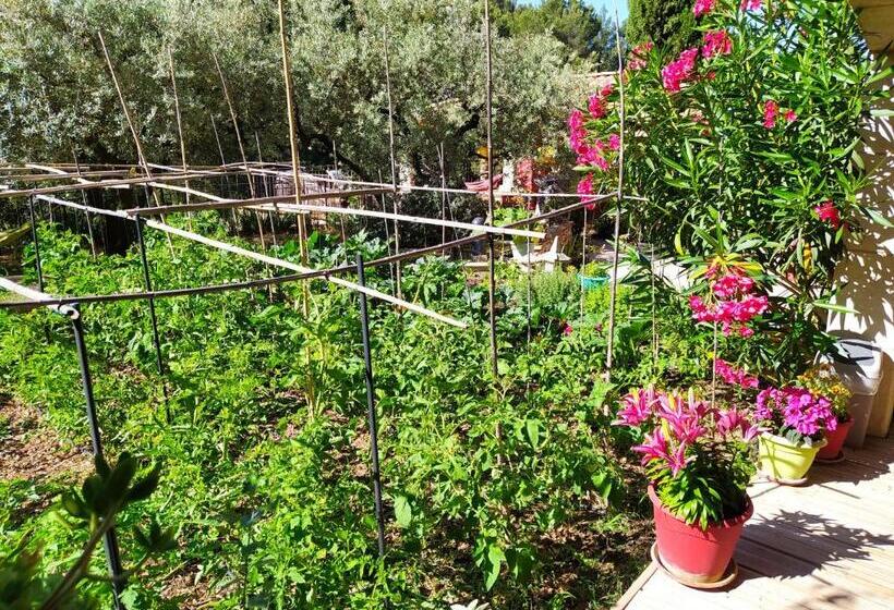 Номер Стандарт Вид на Сад, Le Frangipanier