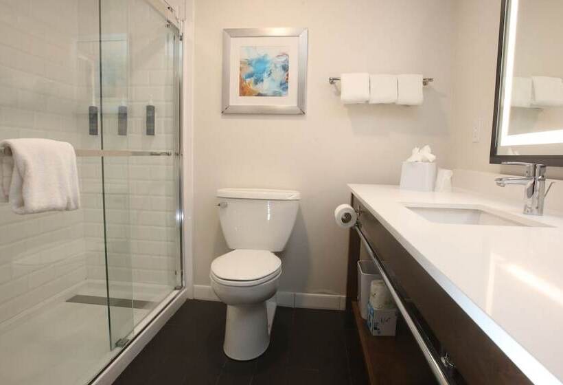 Номер Стандарт, Four Points By Sheraton Wakefield Boston Hotel & Conference Center