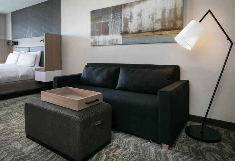 Люкс Кровать Кинг, Springhill Suites By Marriott Tulsa
