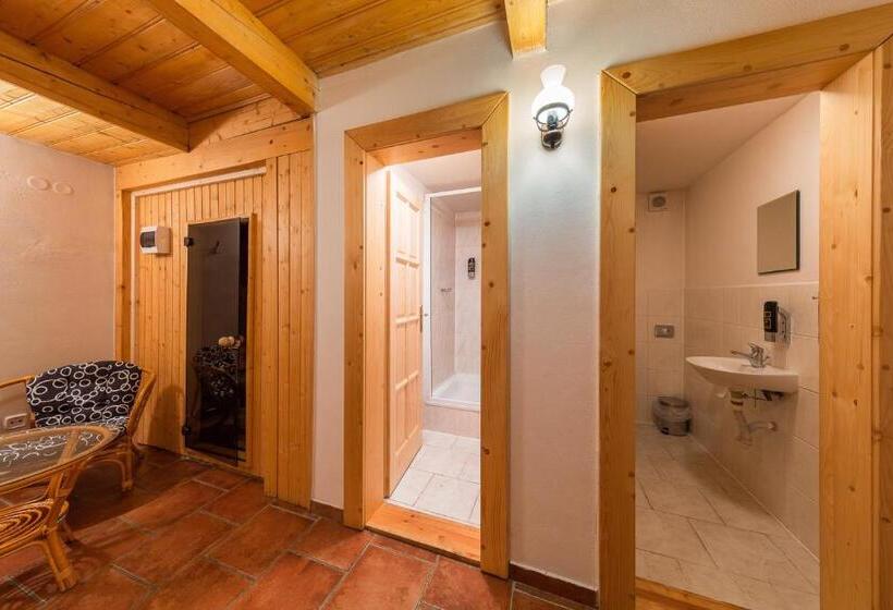 آپارتمان 1 خوابه, Valašské Chalupy Resort