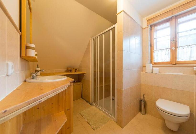 آپارتمان دوبلکس 1 خوابه, Valašské Chalupy Resort