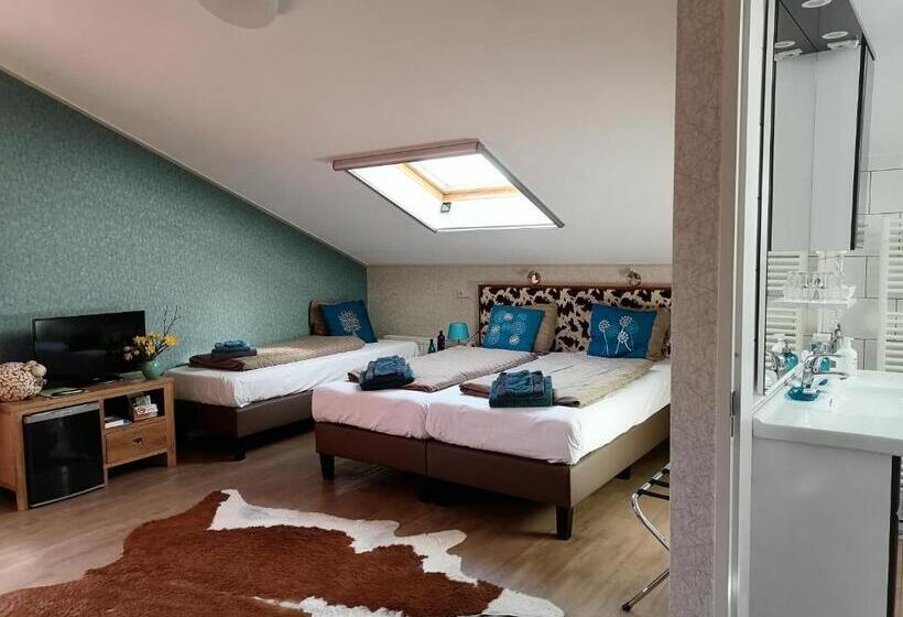 舒适型房间, Boerderij Hazenveld